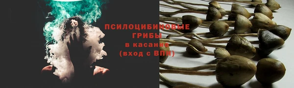 MDMA Кулебаки